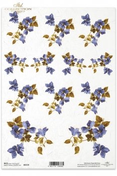 Rice paper R0139
