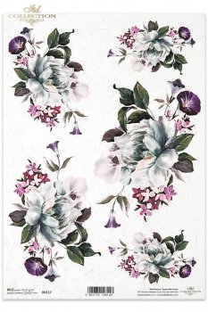 Rice paper R0117