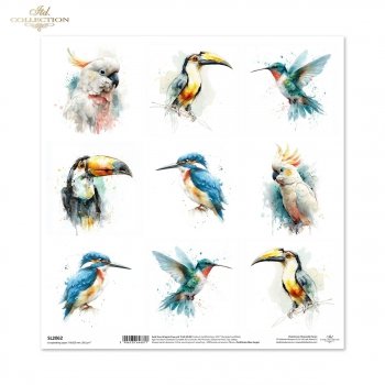 scrapbooking paper SL2062