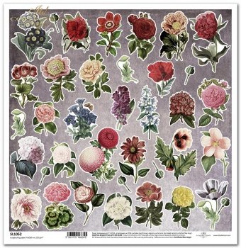 scrapbooking paper SL1052