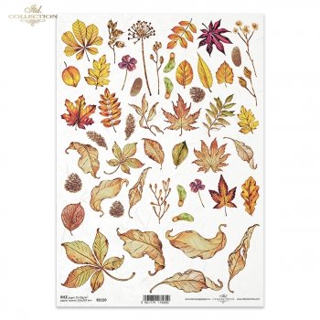 Rice paper R2120