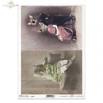 Rice paper R1820