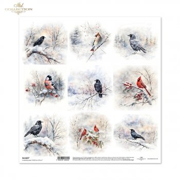 scrapbooking paper SL1627