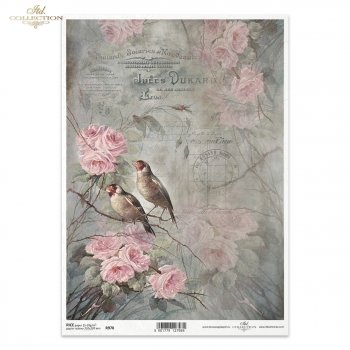 Rice paper R0978