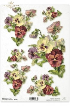 Rice paper R0164