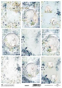 papel para scrapbooking TAG0237
