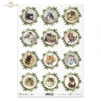 Papel de arroz para decoupage R2274