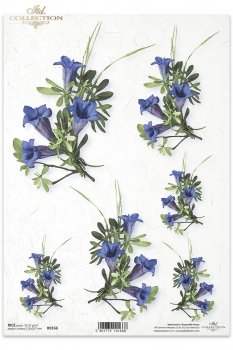 Papel de arroz para decoupage R0166