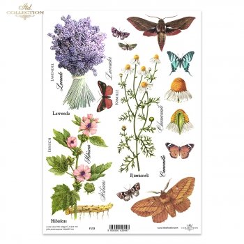 Folia przezroczysta (HS code 39261000) F132