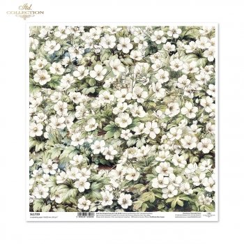 Papier do scrapbooking (HS code 48025890) SL1729