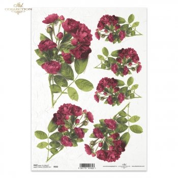 Papier ryżowy (HS code 48021000) R0332