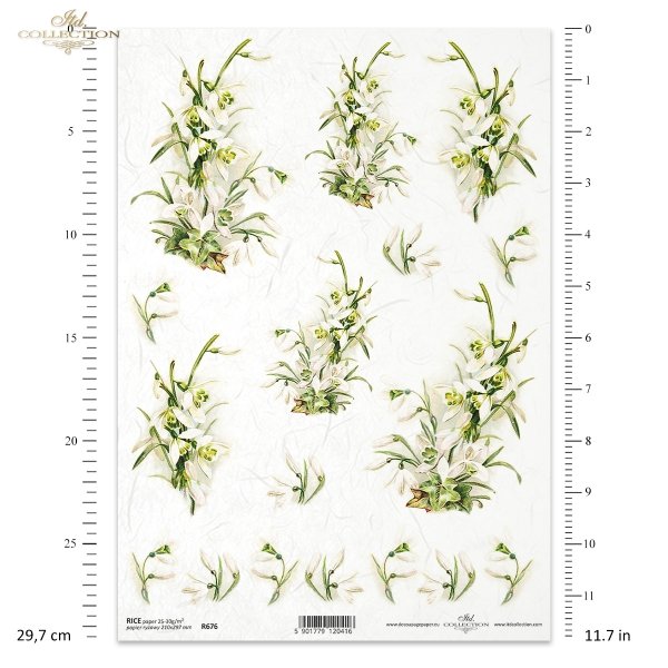 przebiśnieg, kwiat, przedwiośnie, wiosna , R676, snowdrop, flower, spring, pre-spring, Schneeglöckchen, Blume, Frühling, Vorfrühling, Frühlingszeit, campanilla de invierno, flor, primavera, preprimavera, estación primaveral 