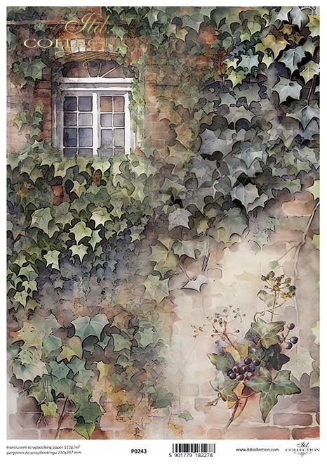 jesienne widoczki, rośliny, bluszcz, okno, jesień, liście*autumn views, plants, ivy, window, autumn, leaves*Herbstansichten, Pflanzen, Efeu, Fenster, Herbst, Blätter*vistas de otoño, plantas, hiedra, ventana, otoño, hojas