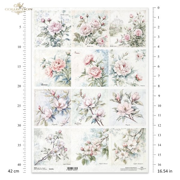 roze, peonie, kwiaty jabloni, magnolia*flowers, roses, peonies, apple blossoms, magnolia*Blumen, Rosen, Pfingstrosen, Apfelblüten, Magnolien*flores, rosas, peonías, manzanos en flor, magnolias