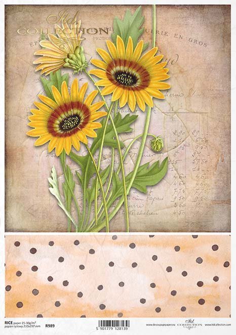 słonecznik, słoneczniki, kwiaty, ogród, łąka, lato, kropki, R989, sunflower, sunflowers, flowers, garden, meadow, summer, dots, Sonnenblumen, Blumen, Garten, Wiese, Sommer, Punkte, girasol, flores, jardín, prado, verano, lunares