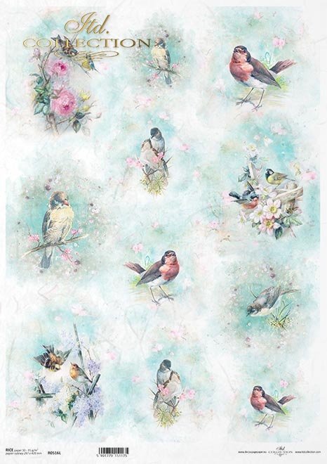 Shabby Chic, ptaszki, akwarele, wiosna * Shabby Chic, birds, watercolors, spring