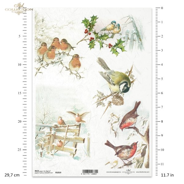 zima, ptak, sikorka, sikorki, rudzik, ptaszek, ptaszki, ostrokrzew, śnieg, winter, bird, tit, redstart, holly, snow, Winter, Vogel, Meise, Gartenrotschwanz, Stechpalme, Schnee, invierno, pájaro, herrerillo, pájaro, acebo, nieve
