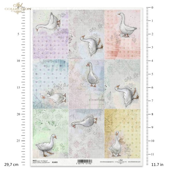 pastele, tagi, gęś, gąska, gęsi, wiosna, małe obrazki, wokół farmy, around the farm, pastels, tags, goose, geese, spring, small pictures, Pastellfarben, Tags, Gans, Gänse, Frühling, kleine Bilder, rund um den Bauernhof