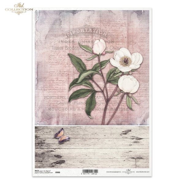 peonia, peonie, kwiat, biały, biel, deska, deski, motyl, R988, peony, peonies, flower, board, butterfly, white peony, background, Pfingstrose, Blume, Brett, Schmetterling, weißen Pfingstrose, Hintergrund, Aquarellflecken, peonia, flor, tabla, mariposa, co