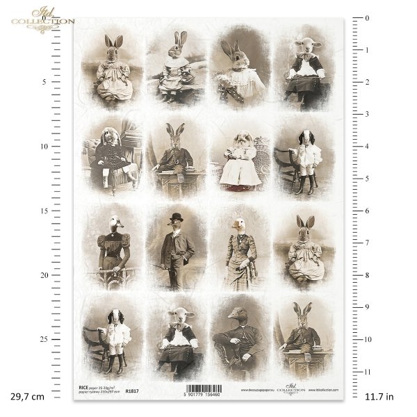 zwierzęta retro, vintage, zwierzęta w dawnych strojach, zoomorfizm, kaczka, baran, gąsior, gąska, gęś, owieczka, kaczor, epoka wiktoriańska, kruki, sfinksy, kot, pies bokser, animals in old costumes, zoomorphism, duck, ram, warthog