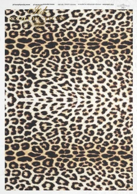 leopard, skin, R080 