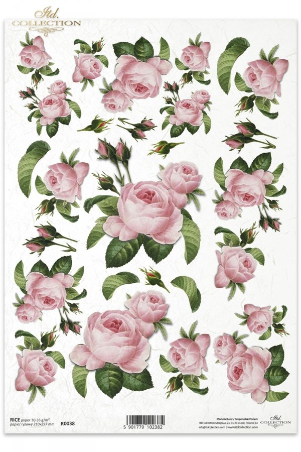 róża, róże, dzika róża, pąki, liście, bukiety, kwiat, kwiaty, R038, rose, roses, buds, leav, leaves, bouquet, bouquets, flowers, flower, Blumen, rosa Rosen, flores, rosas rosadas 