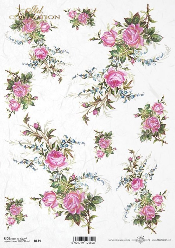 róża, róże, dzika róża, pąki, liście, bukiet, kwiat, ogród, R684, roses, roses, wild rose, buds, leaves, bouquet, flower, garden, Rosen, Wildrose, Knospen, Blätter, Strauß, Blume, Garten, rosas, rosa silvestre, capullos, hojas, ramo, flor, jardín 