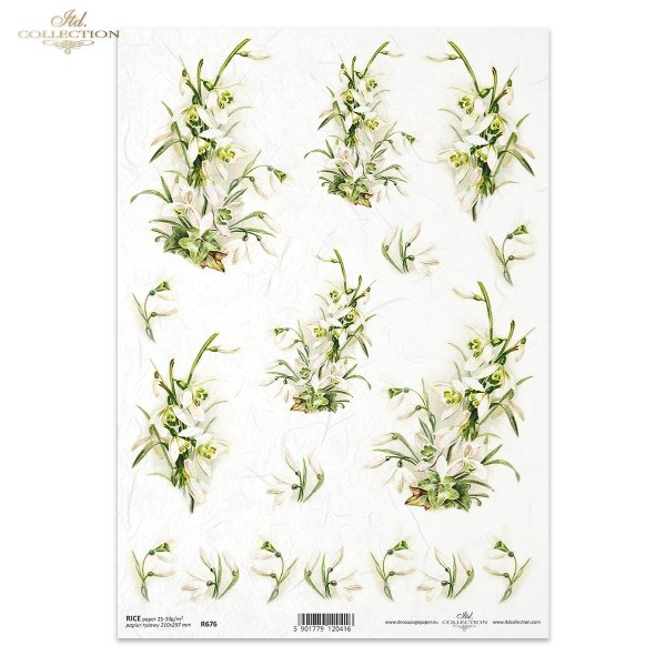przebiśnieg, kwiat, przedwiośnie, wiosna , R676, snowdrop, flower, spring, pre-spring, Schneeglöckchen, Blume, Frühling, Vorfrühling, Frühlingszeit, campanilla de invierno, flor, primavera, preprimavera, estación primaveral 