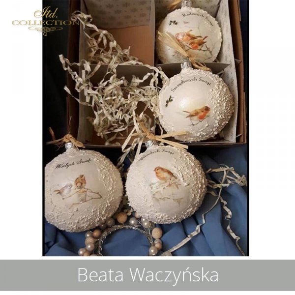 20190430-Beata Waczyńska-R1020-A4-R1021-A4-R0208-example 01