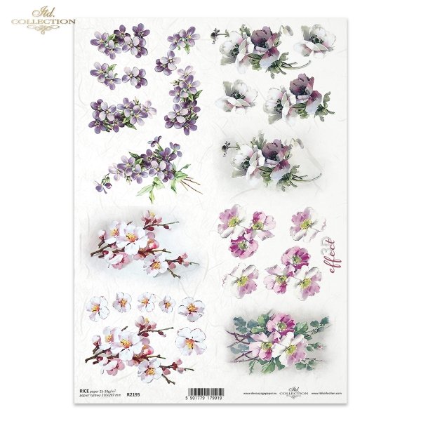 wiosna, wiosenne kwiaty, ogród, kwiaty owocowe, fiołek, fiołki, mak wschodni, maki, kwiaty 3D, 3D efekt, spring, spring flowers, garden, fruit flowers, violet, violets, eastern poppy, poppies, 3D flowers, 3D effect, Frühling, Frühlingsblumen, Garten