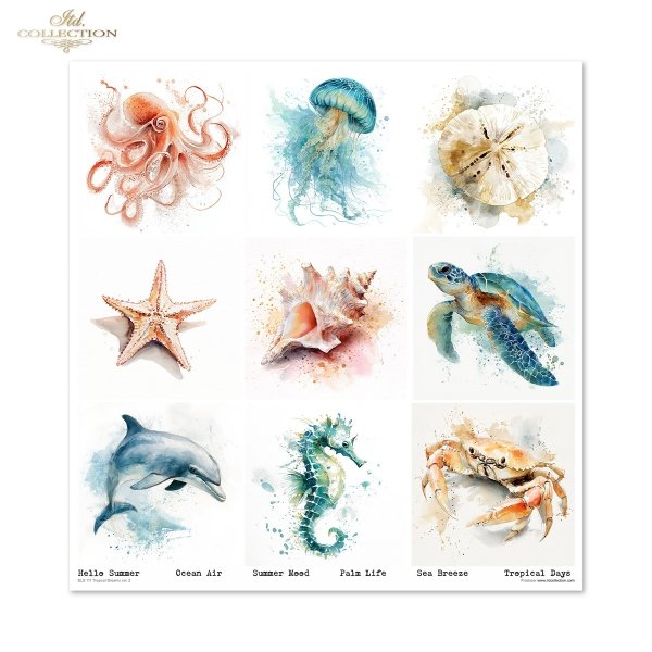 Set von Papieren für Scrapbooking SLS-111 Tropical Dreams vol. 2