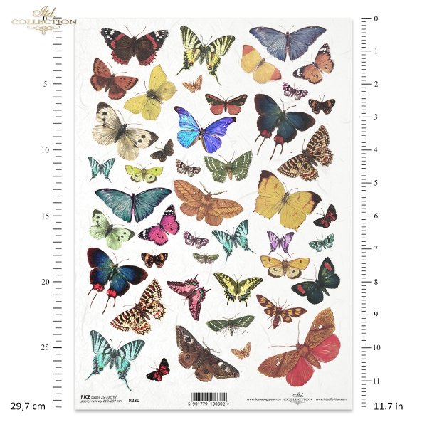 rice-paper-decoupage-insects-butterfly-butterflies-colors-R0230