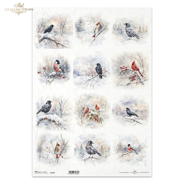 zimowe ptaki, kruki, wrony, kardynał, jemiołuszka, gil*winter birds, ravens, crows, cardinal, mistletoe, guillemot*Wintervögel, Raben, Krähen, Kardinal, Mistel, Trottellumme