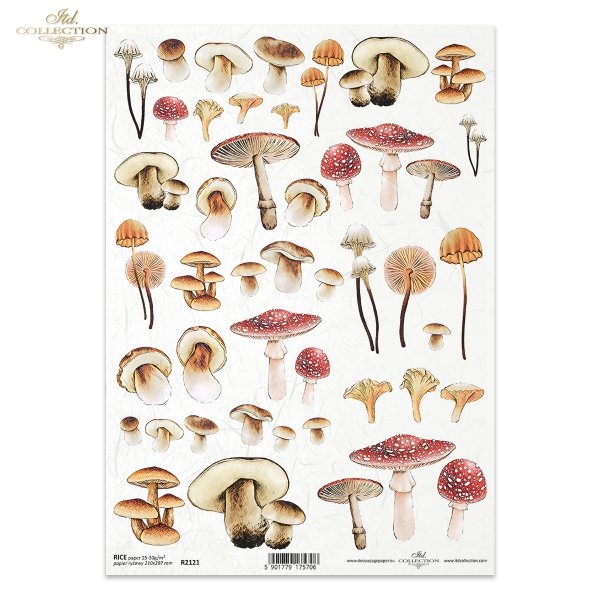 Seria Mysterious forest, grzyb, grzyby, kurki, muchomor, muchomory, prawdziwki, podgrzybki, jesień, las, mushroom, mushrooms, chanterelles, toadstools, ceps, boletes, autumn, Mysteriöse Waldserie, Pilz, Pilze, Pfifferlinge, Fliegenpilze, Steinpilze