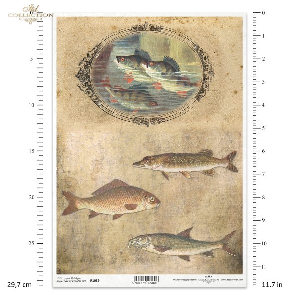 ryba, ryby, wędkarstwo, wędkowanie, łowienie ryb, woda, retro, fish, water, fishing, Fisch, Wasser, Angeln, pez, agua, pesca