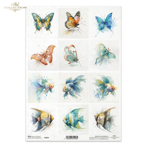 motyl, akwarela, złota rybka, skalar, ryby*butterfly, watercolor, goldfish, angelfish, fish*butterfly, watercolor, goldfish, angelfish, fis