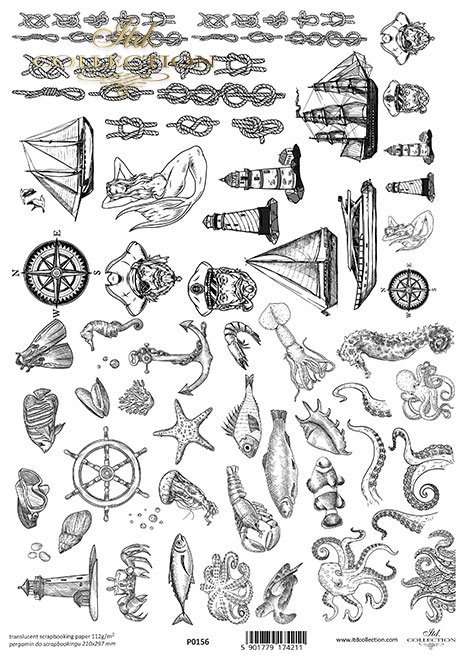 ryby, kraby, morskie elementy, węzły, statki, ośmiornice, macki, muszle*fish, crabs, marine elements, knots, ships, octopus, tentacles, shells*Fische, Krabben, Meereselemente, Knoten, Schiffe, Tintenfisch, Tentakel, Muscheln*peces, cangrejos, elementos ma