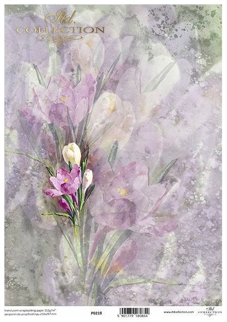 tło akwarelowe, wiosenne kwiaty*watercolour background, spring flowers*Aquarell-Hintergrund, Frühlingsblumen*fondo de acuarela, flores de primavera