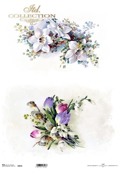 wiosenne kwiaty, tulipan, storczyk*spring flowers, tulip, orchid*Frühlingsblumen, Tulpe, Orchidee*flores de primavera, tulipán, orquídea