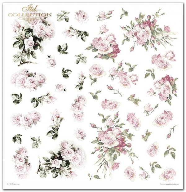 Set von Papieren für Scrapbooking SLS-001 ''Englische Rose''' ---- PREISREDUZIERTES PRODUKT