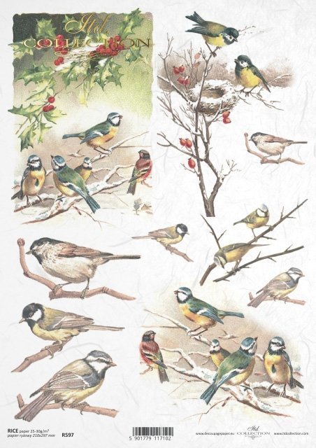 ptak, ptaszek, ptaszki, zima, śnieg, ostrokrzew, dekoracje na Boże Narodzenie, bożonarodzeniowe motywy, ptasie gniazdo, sikorki, R597, bird, bird's nest, winter, snow, holly, christmas decorations, christmas motifs, Vogel, Vögelchen, Winter, Schnee, Stec