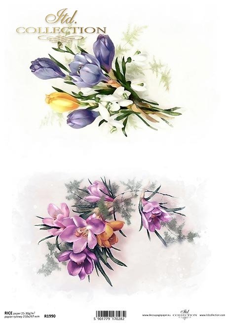 wiosenne kwiaty, frezja, krokus*springs flowers, freesia, crocus*Frühlingsblumen, Freesie, Krokus*flores de primavera, fresia, azafrán