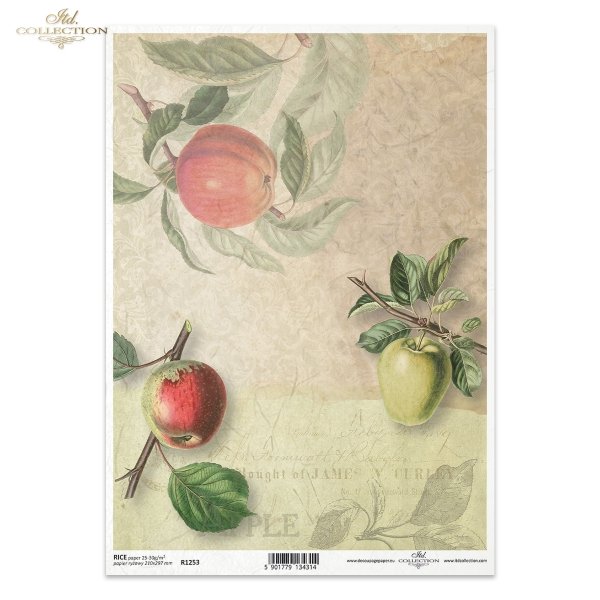 jabłko, jabłka, owoce, gałązka, liście, stare napisy, retro, ręczne pismo, stary papier, list, tło, apples, fruit, twig, leaves, old inscriptions, retro, handwriting, old paper, letter, background, Äpfel, Apfel, Frucht, Zweig, Blätter