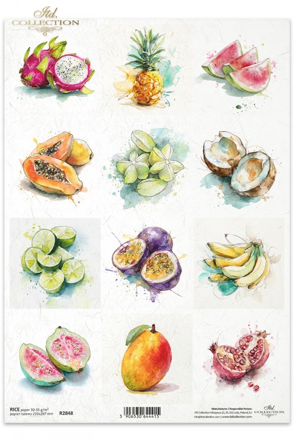 marakuja, arbuz, pitaja, papaja, granat, guawa, akwarela, limonka, ananas, kokos, karambola, banan, mango*Sea shells, clams, snail, pearl, beach, ocean, nature, watercolor, seahorse, jellyfish, sea urchin, crab, starfish, fauna
