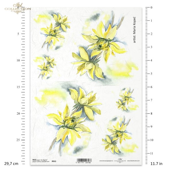 kwiat, ogród, łąka, wiosna, autorka grafiki Maria Kopeć, R912, flower, garden, meadow, spring, Blume, Garten, Wiese, Frühling, flor, jardín, prado, primavera 