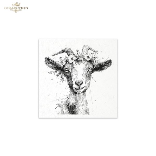 Rice paper set RSM252