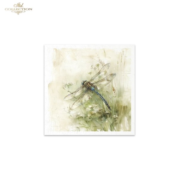 Rice paper set RSM223