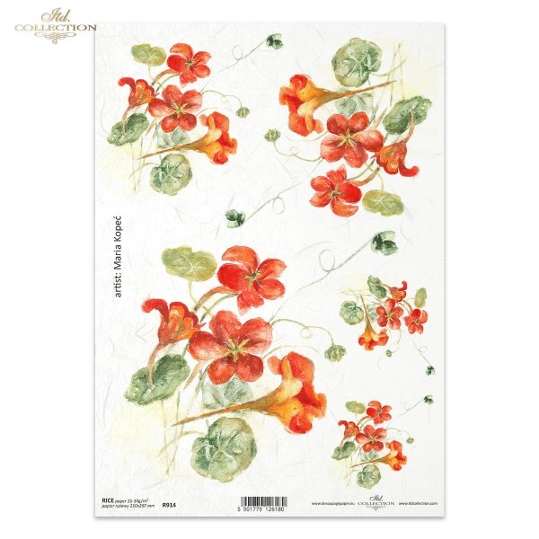 nasturcja, nasturcje, kwiat, ogród, łąka, wiosna, autorka grafiki Maria Kopeć, R914, nasturtium, flower, garden, meadow, spring, Kapuzinerkresse, Blume, Garten, Wiese, capuchina, flor, jardín, prado, primavera