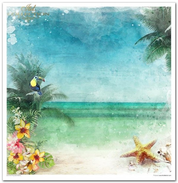 Tropical dreams*tropikalne marzenia-z serii podróż marzeń: muszle, żaglówka, ryby, konik morski, meduzy, głębia, pelikan, tukan, palmy, plaża, liście monstaery, kwiat hibiskusa, motyl, kraby, rozgwiazdy, kwiaty do wycinania...