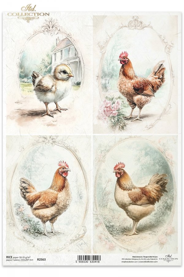 kury, kurczaki, wiejskie zwierzęta, wiosenne klimaty, rustykalny styl*chickens, countryside animals, springtime climate, rustic style*Hühner, Tiere auf dem Lande, Frühlingsklima, rustikaler Stil*gallinas, pollos, animales de campo, clima primaveral, estil